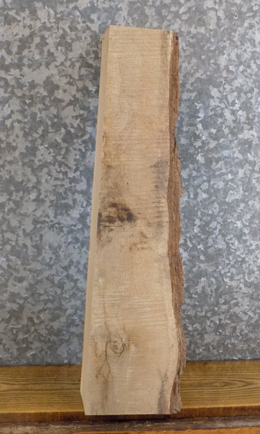 White Oak Thick Cut Rustic Lumber Board/Mantel Wood Slab 40289